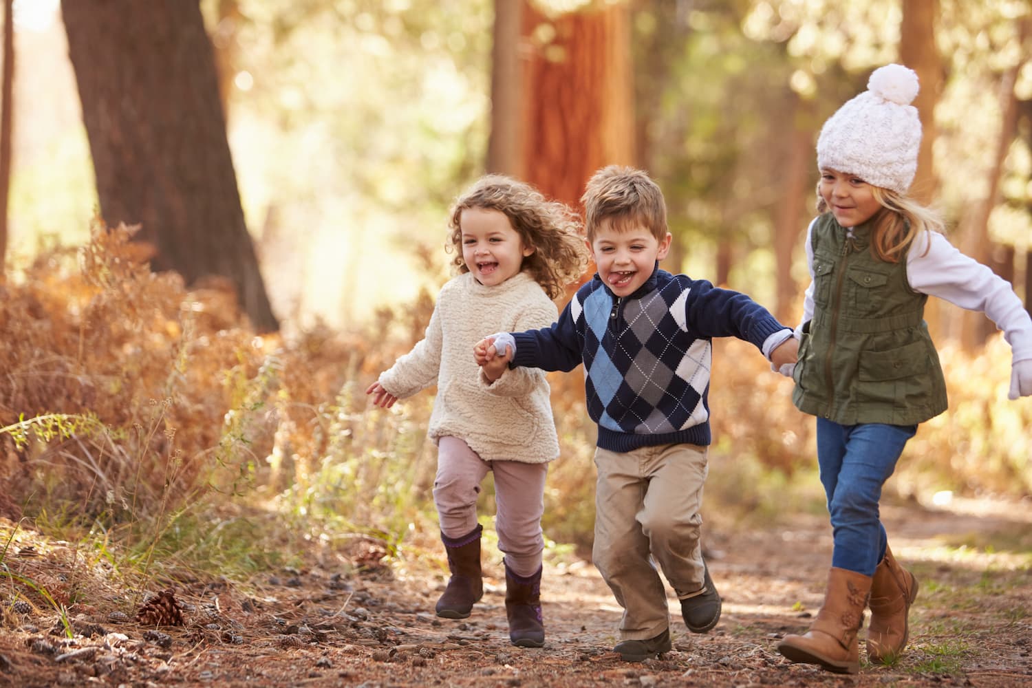 3 children holding hands and running through a wooded area on a sunny day