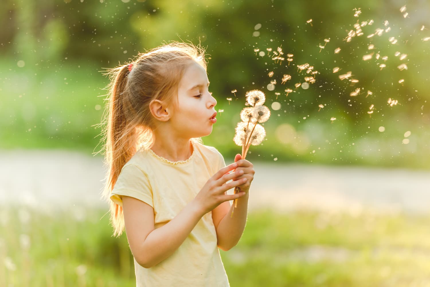A little girl blowing on a dandelion